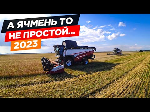 Видео: Зашли на убору пивного ячменя после ливней: John Deere S660/670i, Т660i и РСМ-161.