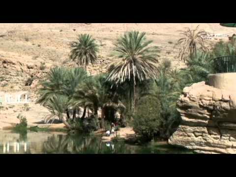 Видео: Золотой глобус 92. Оман.