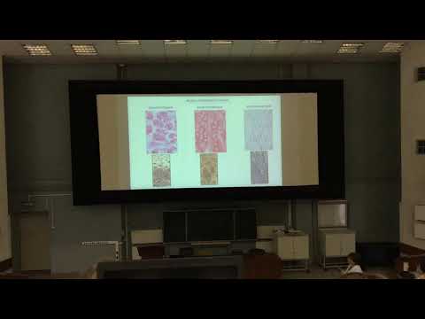 Видео: Гистология. Скелетные Соединительные Ткани (Ч1)