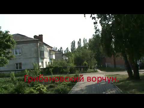 Видео: Грибановский ворчун.