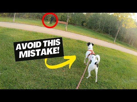 Видео: 6 вещей, которые вам НУЖНО знать для тренировки REACTIVITY