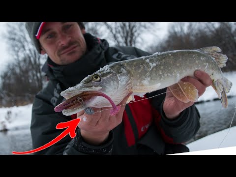 Видео: Вот эта оснастка мне понравилась!!! реально стало лучше чем Джиг Риг??? [Пора ловить щуку]