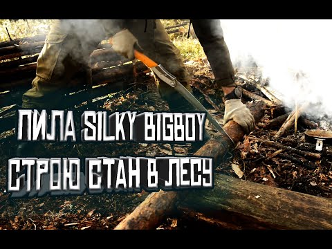 Видео: Пила Silky BIGBOY. Перепилил все вокруг. Строю место под шашлыки в лесу. KukuruZo