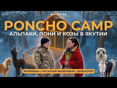 Видео: АЛЬПАКИ В ЯКУТИИ PONCHO CAMP — интервью с Натальей Яковлевой | ДЕВЕЛОПЕР