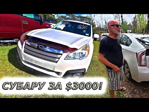 Видео: SUBARU OUTBACK ЗА $3000 / КОФЕЙНАЯ ФЕРМА НА ГАВАЙЯХ!