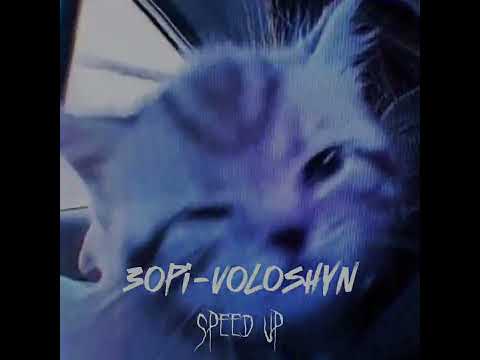 Видео: VOLOSHYN Зорі (Speed up)