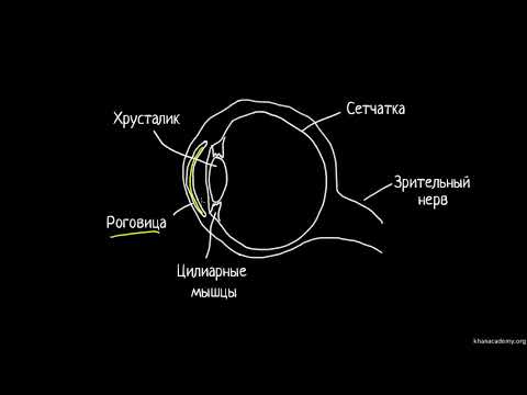 Видео: Диоптри́я, аберра́ция и человеческий глаз | Геометрическая оптика