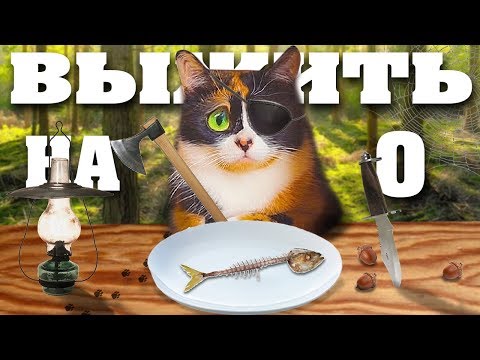 Видео: ПРОВЕРКА СЛИВКИ ШОУ! КАК ПРОЖИТЬ ЦЕЛЫЙ ДЕНЬ - НА 0 РУБЛЕЙ!