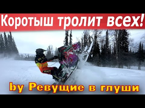 Видео: Злые горные снегоходы против Малыша Троллим BRP Summit turbo)