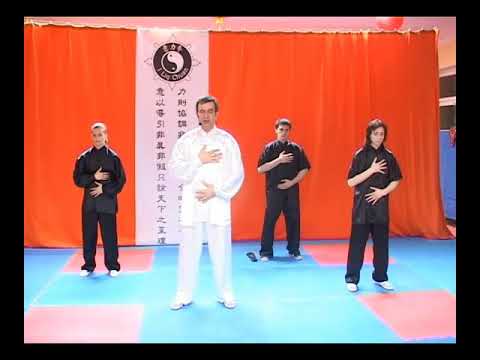 Видео: Восприятие энергии неба и энергии земли