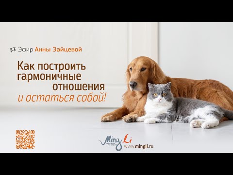 Видео: Гармоничные отношения и совместимость по Бацзы