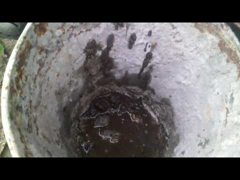 Видео: Борьба с медведкой  Способ №1