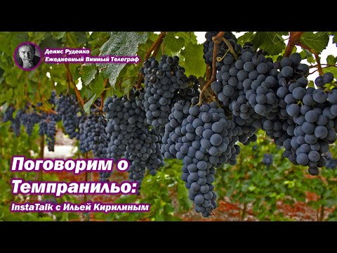 Видео: Поговорим о Темпранильо: InstaTalk с Ильей Кирилиным (часть 1)