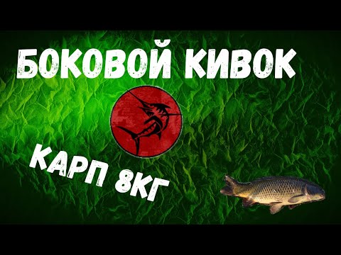 Видео: Боковой кивок.Карп 8 киллограмм.