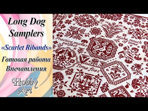 Видео: Long Dog / Финиш / Выбираю следующий Лонг Дог