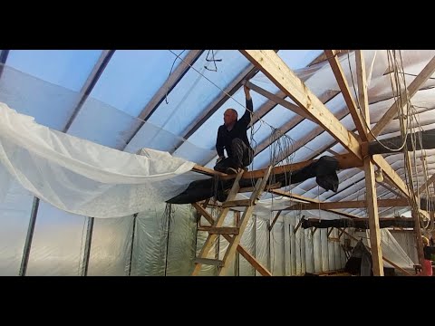 Видео: Подготавливаем теплицу к к приезду тюльпанов.
