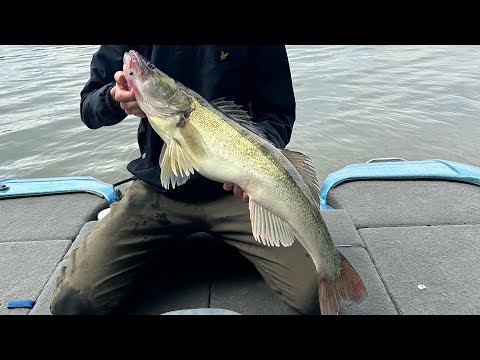 Видео: Первые успехи на PANOPTIX! Яузское водохранилище #3