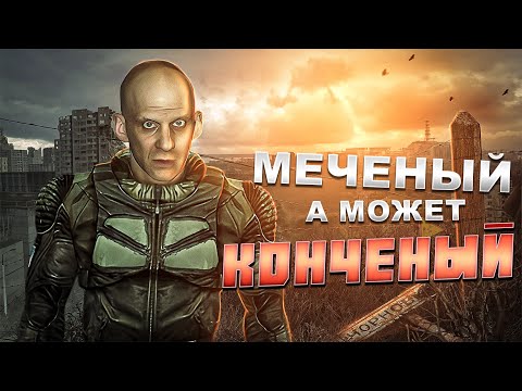 Видео: Сюжет Stalker Тень Чернобыля. Консервных банок насобирал? Часть 1
