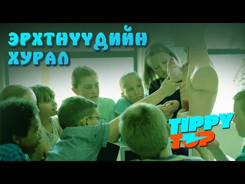 Видео: Эрхтнүүдийн хурал 👩‍🔬😅 | Daily Fun Facts 😂