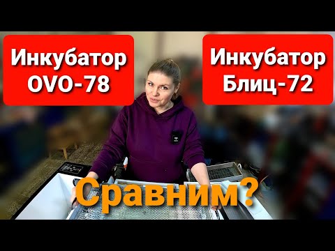 Видео: Какой ИНКУБАТОР выбрать OVO или БЛИЦ? Обзор инкубатора OVO-78.