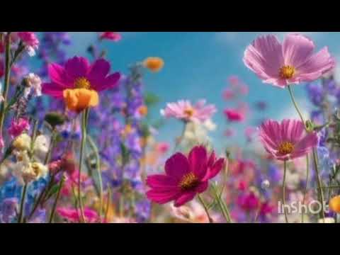 Видео: Слова, слова, одни слова ( кавер)