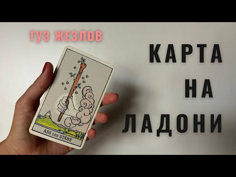 Видео: ТУЗ ЖЕЗЛОВ • КАРТА НА ЛАДОНИ • Diva V.S / Виктория Штелльхорн