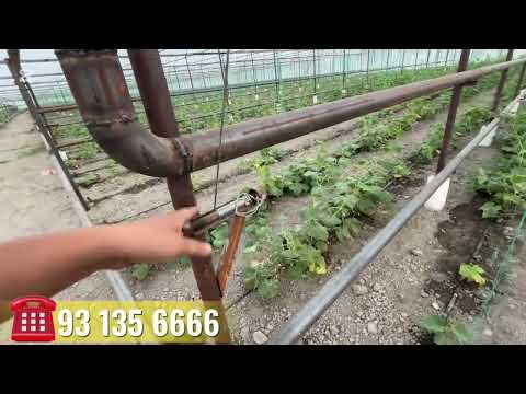 Видео: 1 гектар жойни нечта катйол исситади шу хакида курамиз? 