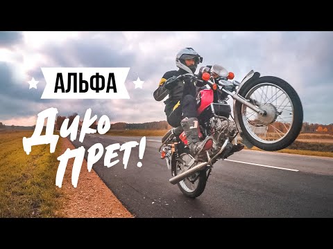 Видео: Альфа Дико Валит: Смена Движка за 2 Минуты, Езда на Заднем
