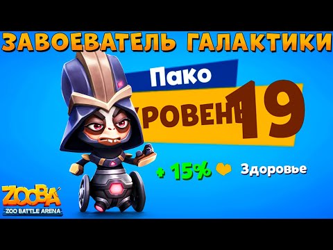 Видео: КАЧАЕМ 19 УРОВЕНЬ - ЗАВОЕВАТЕЛЬ ГАЛАКТИКИ ПАКО В ИГРЕ ZOOBA