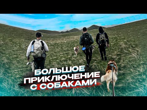 Видео: ПУТЕШЕСТВИЕ ПО ЮЖНОМУ УРАЛУ | 4 ДНЯ В ПОЛЯХ С СОБАКАМИ | ХИПСТЕРЫ У ПОДНОЖЬЯ