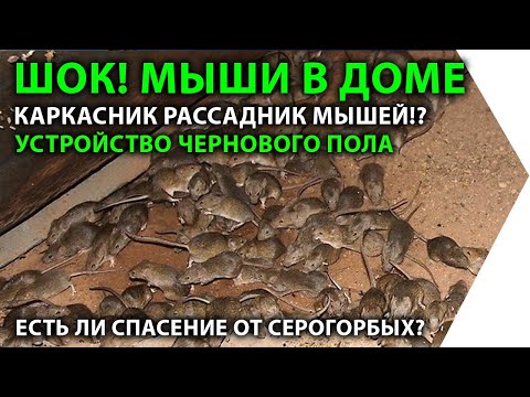 Видео: Мыши в каркасном доме. Устройство чернового пола. Защита каркасника от грызунов.
