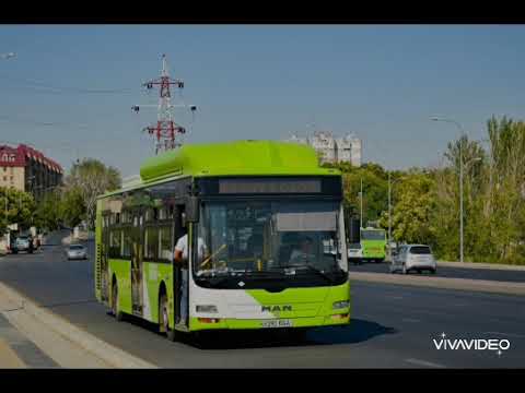 Видео: История про автобуса Gemilang (MAN Auto-Uzbekistan) 08357 маршрут 95 у юнусобад квартал 15 Ташкент
