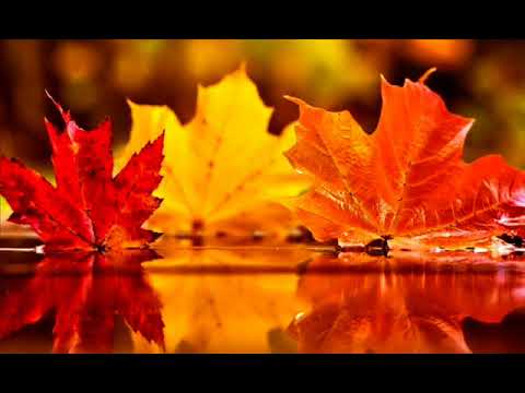 Видео: 7 дом в Близнецах