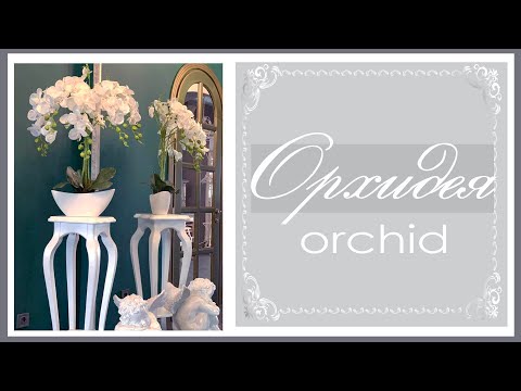 Видео: ОРХИДЕЯ искусственная ORCHID.Делаем орхидею)
