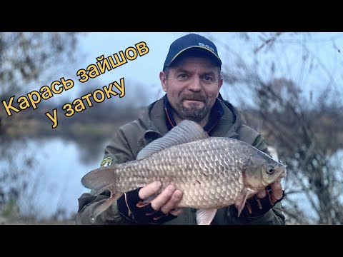 Видео: Карась на грушку