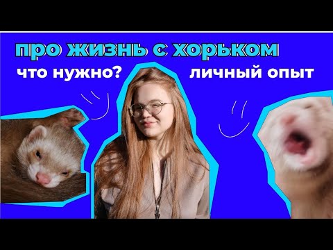 Видео: Жизнь с хорьком\ Личный опыт\ Содержание хорька