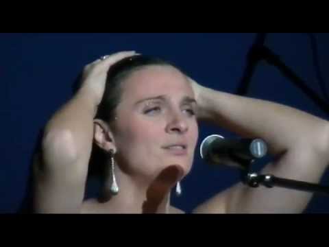 Видео: Елена Ваенга. Чикаго 20.11.2011г.