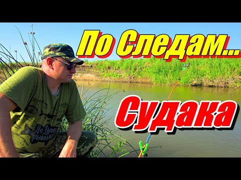 Видео: ПО СЛЕДАМ... СУДАКА!!! РЫБАЛКА НА РЕКЕ НУРА 2023. #рыбалка #казахстан #нура