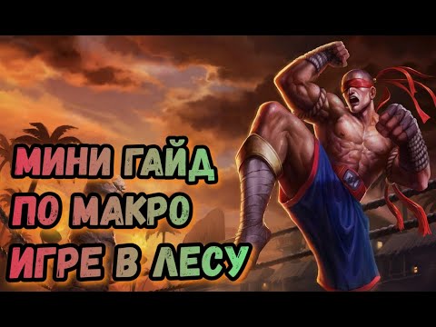 Видео: ОСНОВЫ МАКРО ИГРЫ В ЛЕСУ ИХ ДОЛЖЕН ЗНАТЬ КАЖДЫЙ! | League Of Legends: Wild Rift
