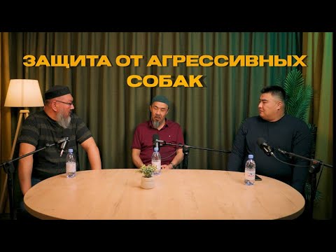 Видео: Защита от агрессивных Собак
