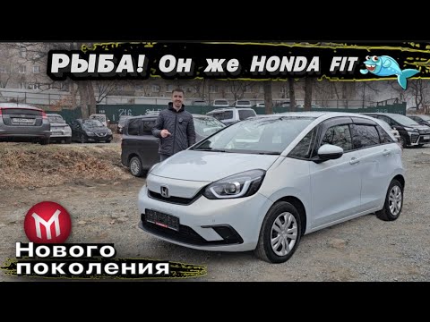 Видео: Обзор Рыба! Он же Honda Fit нового поколения