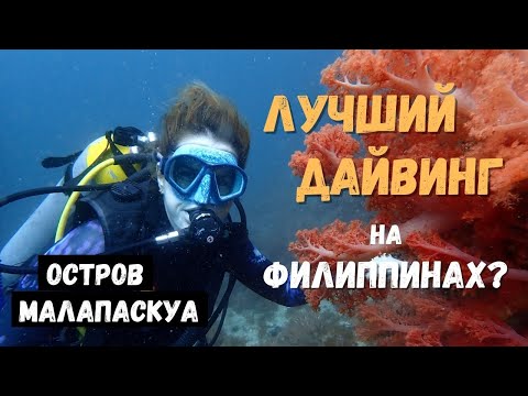 Видео: Дайвинг на Филиппинах. Красочный подводный мир острова Малапаскуа