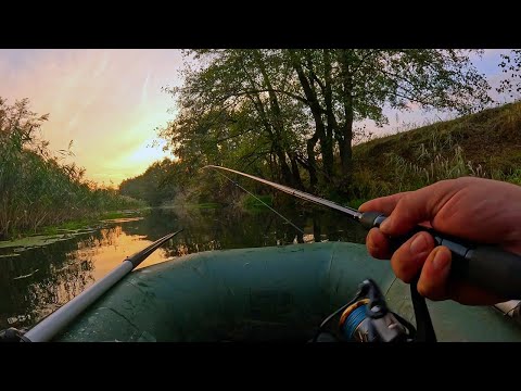 Видео: РЫБАЛКА НА СПИННИНГ ОСЕНЬЮ! ТЕСТ БЛЕСЕН С АлиЭкспресс - Я В ШОКЕ С ТАКОГО КЛЕВА, КЛЕВ ТОЛЬКО ЗАКИНЬ!