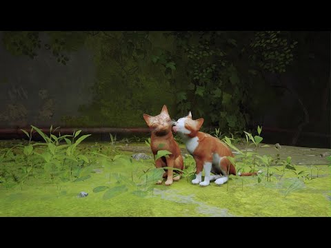 Видео: Stray ОКАЗАЛСЯ ОЧЕНЬ ГРУСТНЫЙ😭