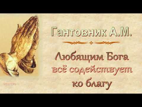 Видео: Гантовник А.М. "Любящим Бога всё содействует ко благу" - МСЦ ЕХБ