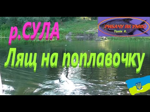 Видео: #СУЛА# ЛЯЩ на поплавочку#РибачуЯкУмію