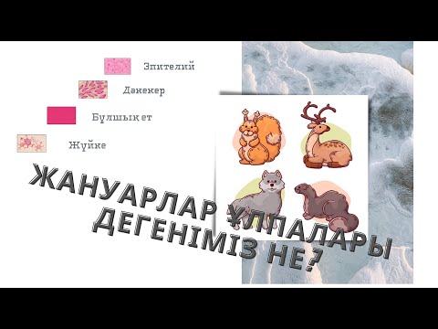 Видео: Жануар ұлпалары дегеніміз не?       Жұлдыз|99%