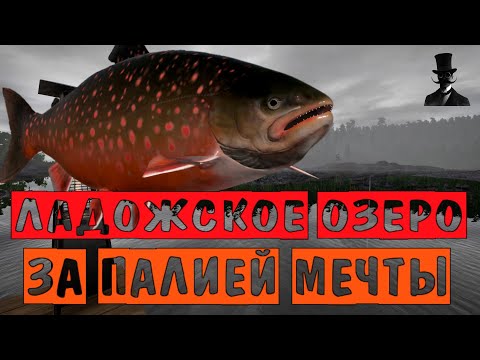 Видео: За палией мечты. Рыбалка на Ладожском озере. Русская Рыбалка 4.