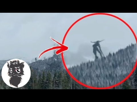 Видео: 5 ГИГАНТСКИЙ МОНСТРОВ СНЯТЫХ НА КАМЕРУ (СЕРЫЙ КОТ)