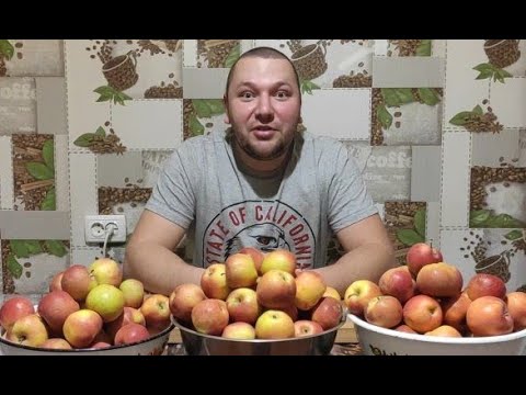 Видео: Кальвадос. Самогон из яблок. Крепкий напиток